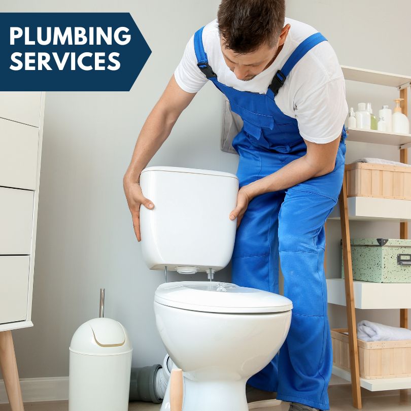 Plumbing Company in Chester, MD